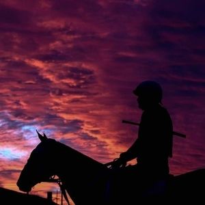 Meet your Posher, Dawnlee